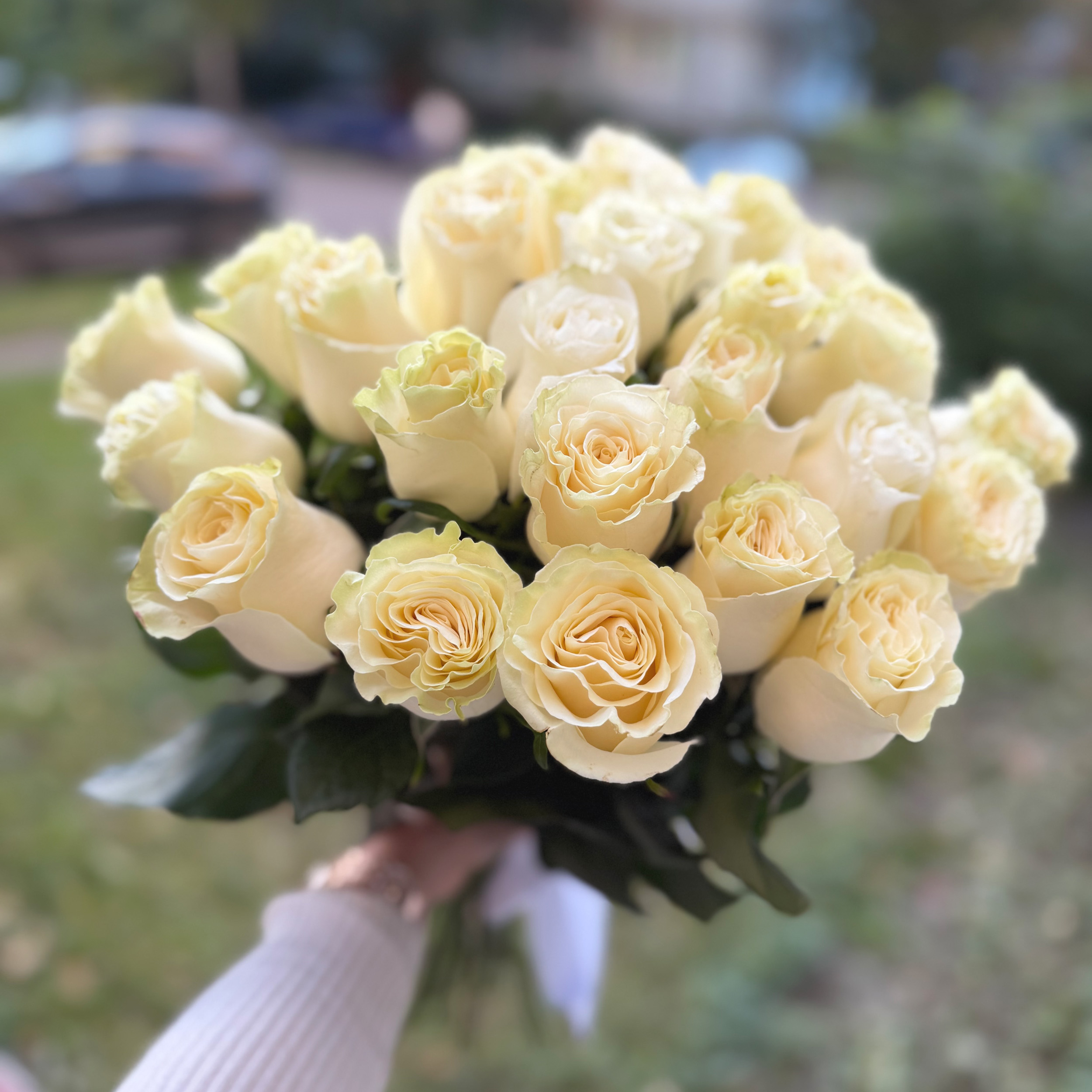 Главная